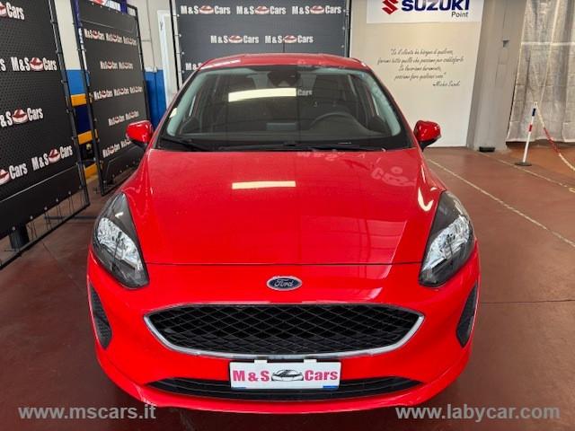 FORD Fiesta 1.1 75 CV 5p. Connect