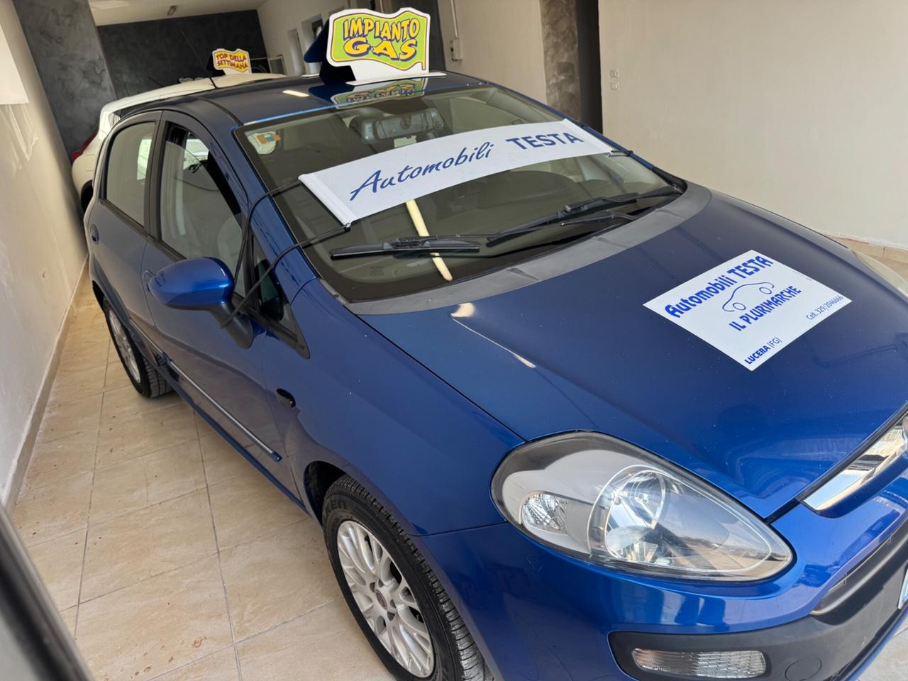 Fiat Punto Evo Punto Evo 1.4 5 porte Dynamic