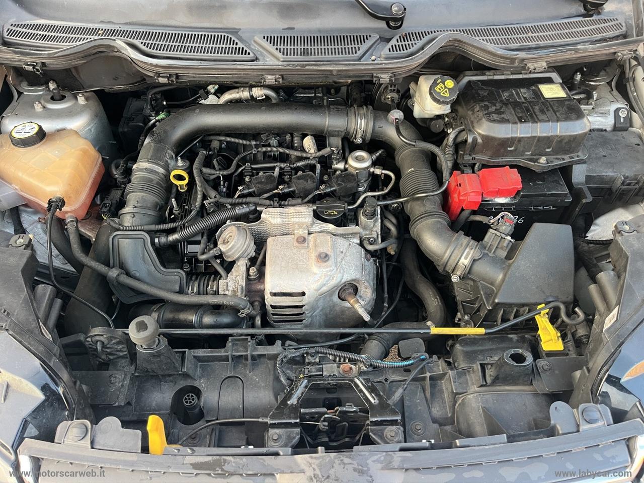 FORD EcoSport 1.0 EcoBoost 125 CV Plus