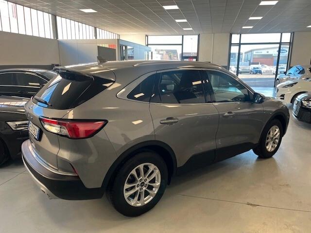 Ford Kuga 1.5 EcoBlue 120 CV 2WD Titanium