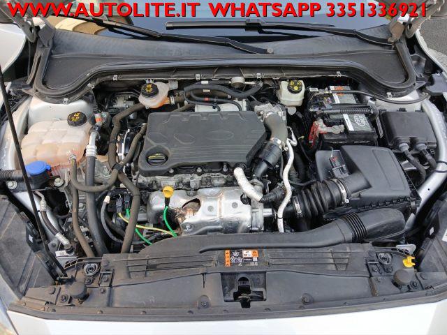 FORD Focus 1.5 EcoBlue 120 CV SW Business