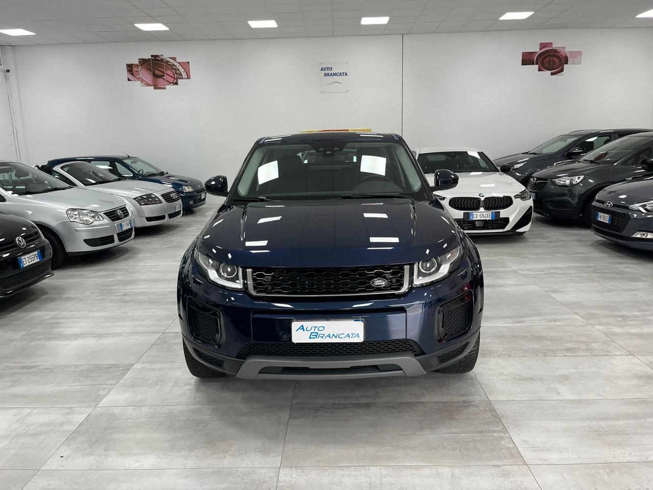 Land Rover Range Rover Evoque 5p 2.0 td4 SE Business edition 150cv auto