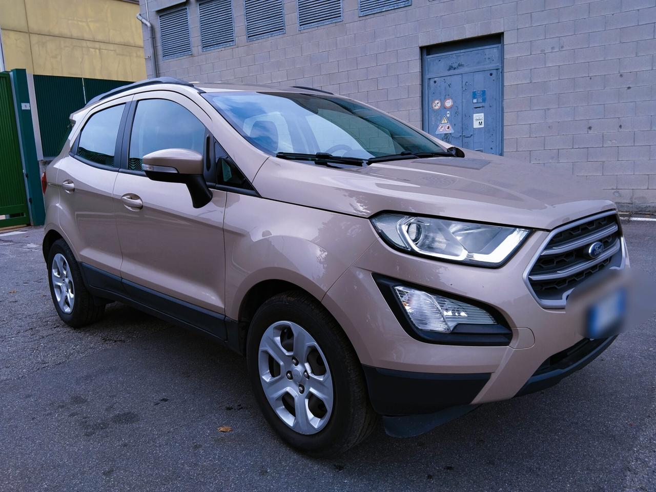 Ford EcoSport 1.0 EcoBoost 100 CV Business