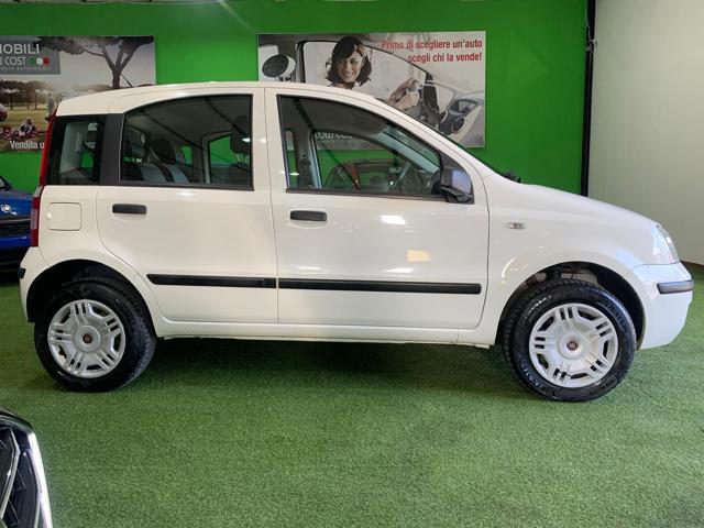 FIAT Panda 1.2 Dynamic Natural Power