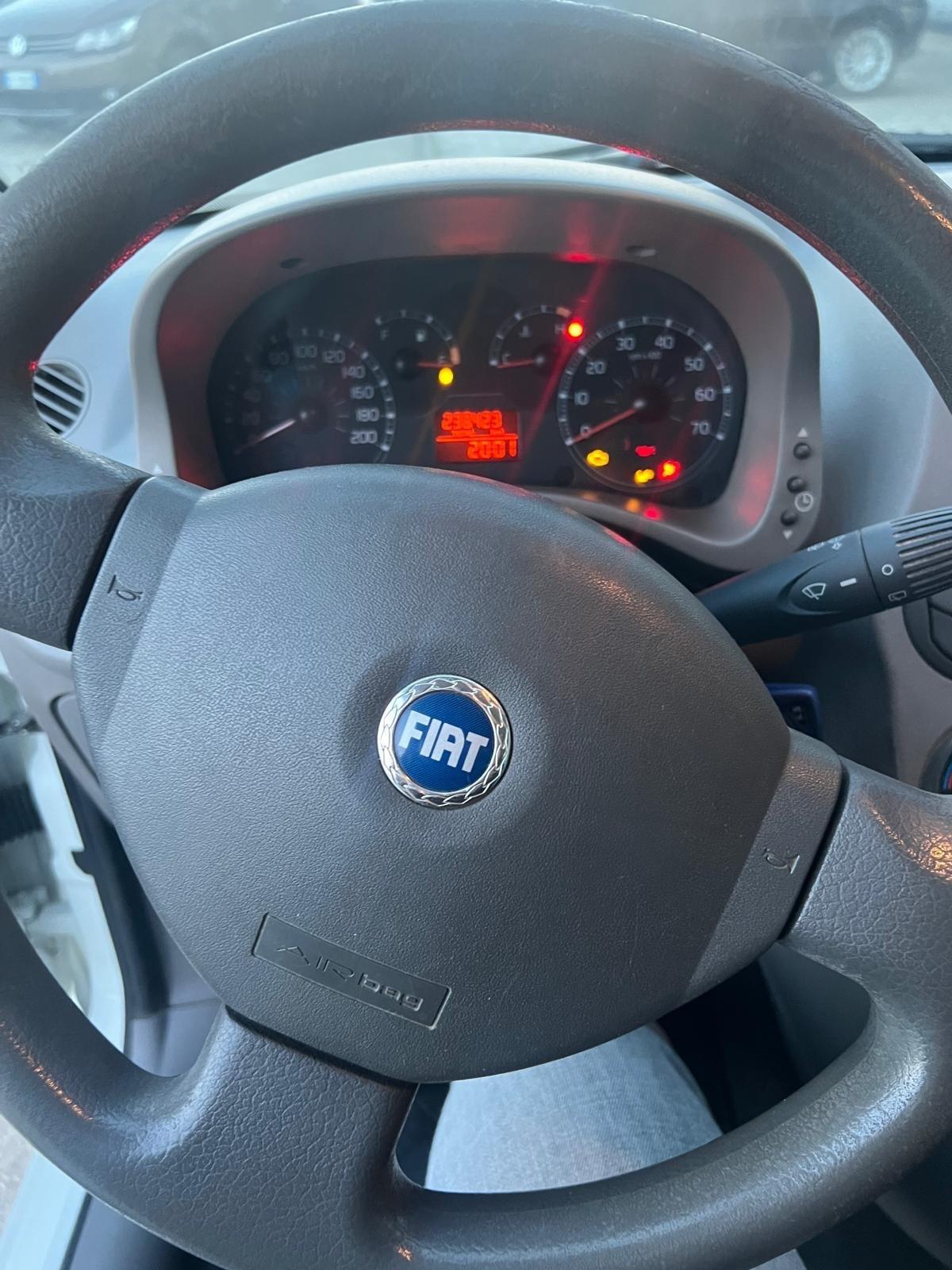 FIAT PANDA 1.2 BENZINA ANNO 2006 X NEOPATENTATI