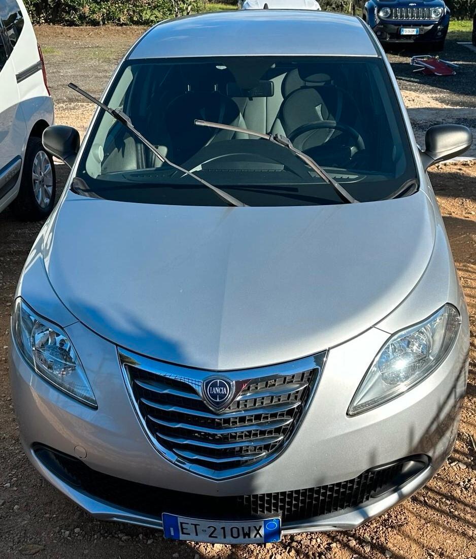 Lancia Ypsilon 1.3 MJT 16V 95 CV 5 porte Elefantino CLIMA MULTIFUNZIONE PDC