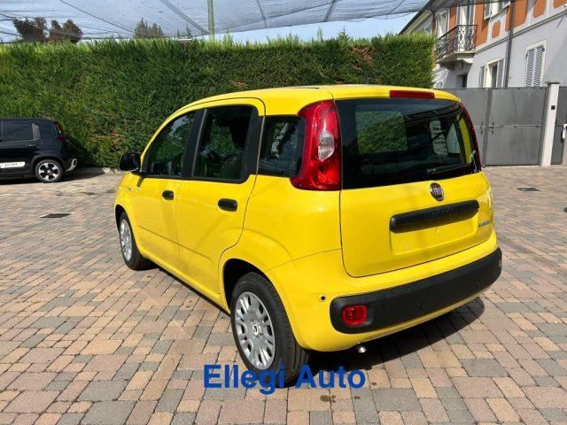 FIAT Pandina PROMO FINANZIAM 1.0 FireFly 65 CV Hybrid Pop KM 0