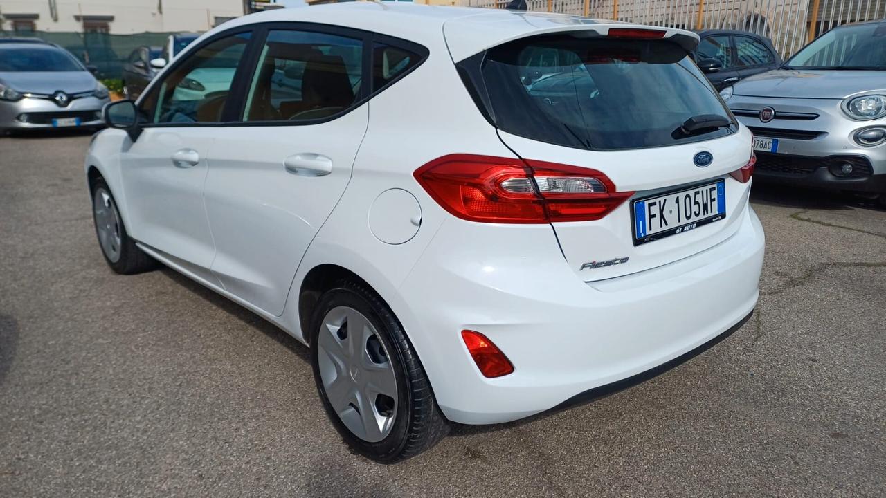 Ford Fiesta 1.5 TDCi 85 CV 5 porte Plus