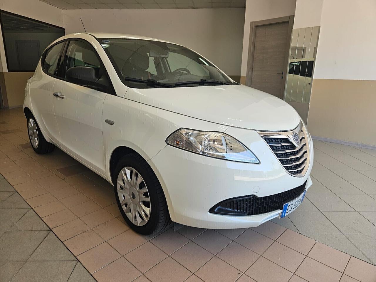 Lancia Ypsilon 1.3 MJT 16V 95 CV 5 porte S&S Elefantino
