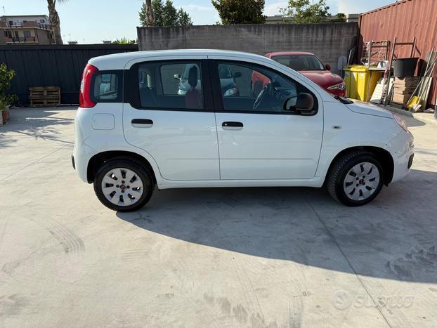 PANDA 1.2 69cv E6 Pop