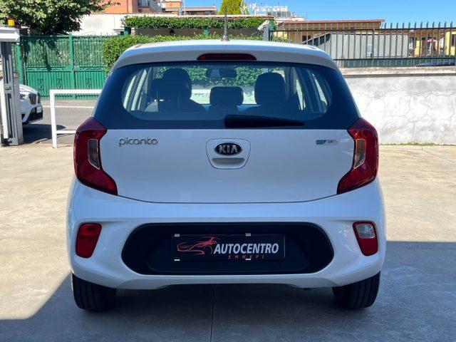 KIA Picanto 1.0 12V EcoGPL 5 porte City