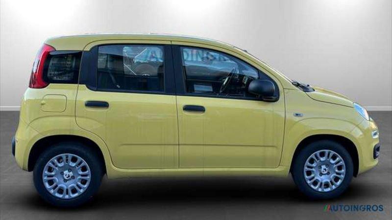 FIAT Panda 1.0 FireFly Hybrid Icon