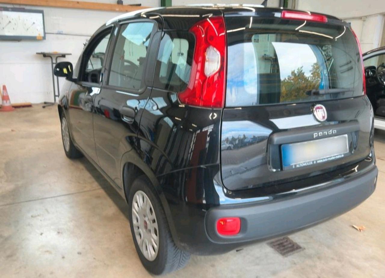 Fiat Panda 1.2 Easy