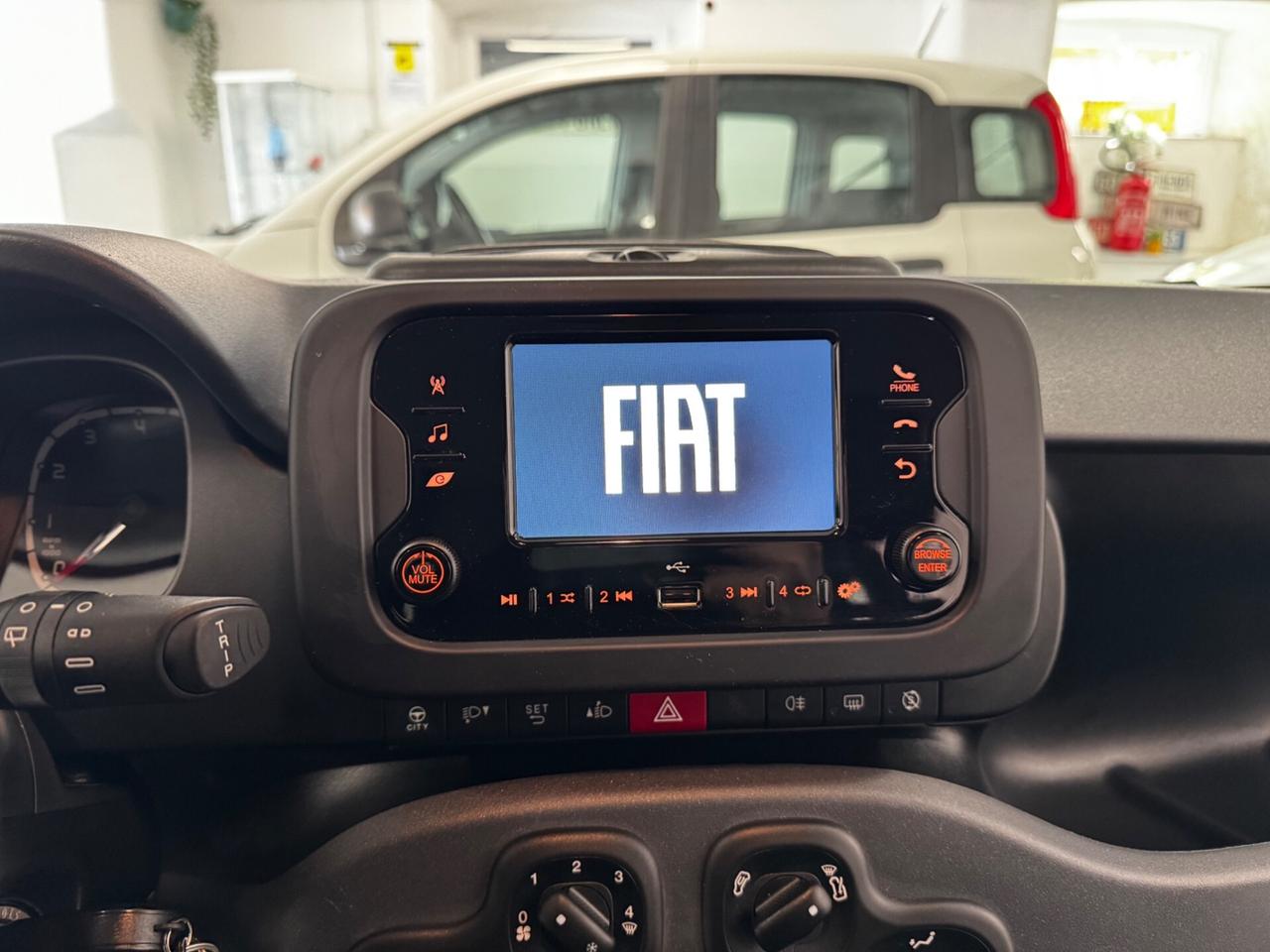 Fiat Panda 1.0 BENZINA/ Hybrid City Life SEMINUOVA KM 3.500