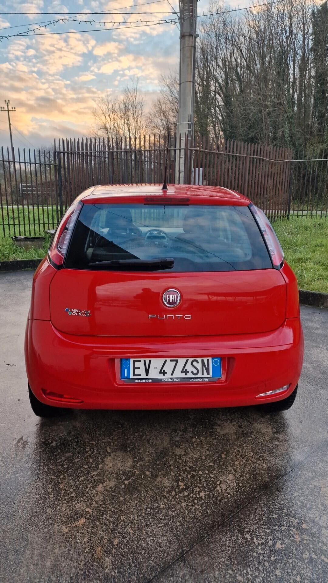 Fiat Punto 1.4 5 porte Lounge - 2014