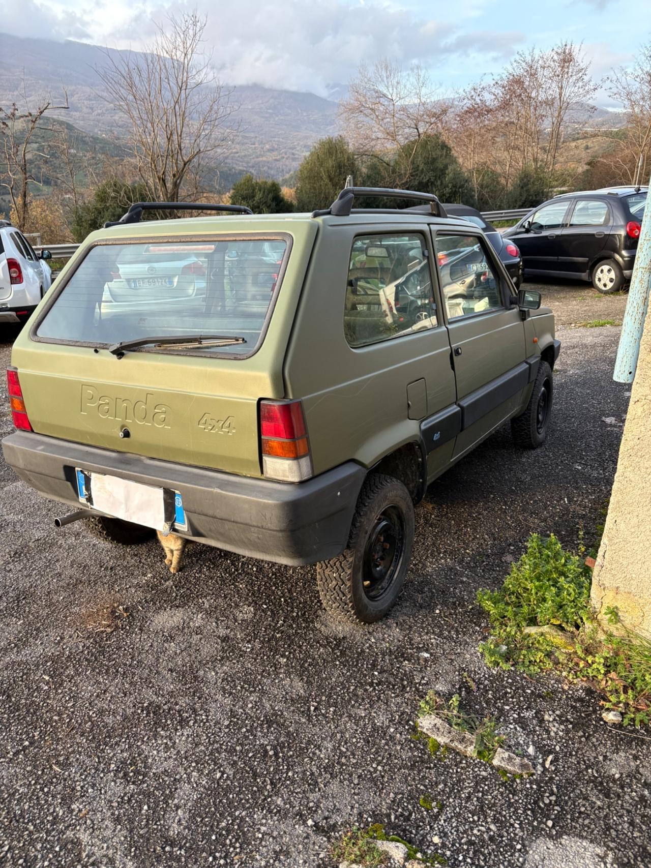 Fiat Panda 1100 i.e. cat 4x4 Trekking