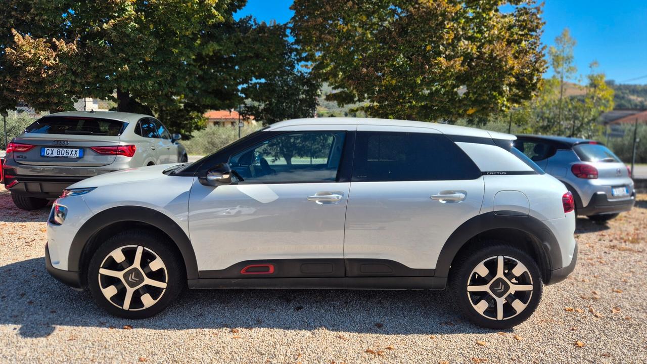 Citroen C4 Cactus BlueHDi 100 S&S ETG6 Shine