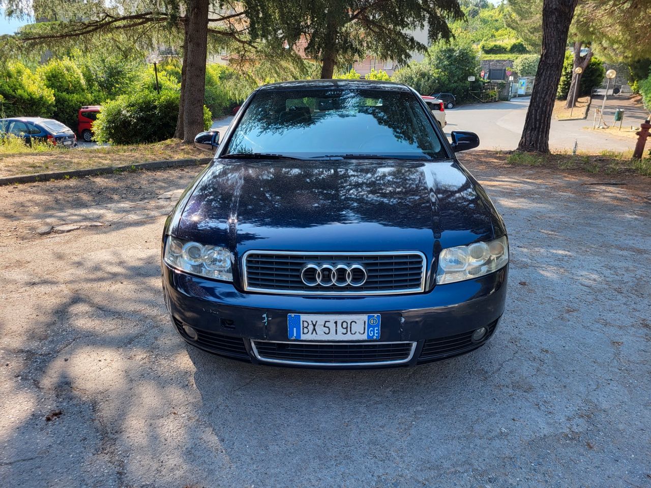 Audi A4 1.9 TDI/130 CV cat