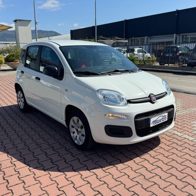 FIAT New Panda 1.2 POP AZIENDALE GUIDABILE DA NEOPATENTATO