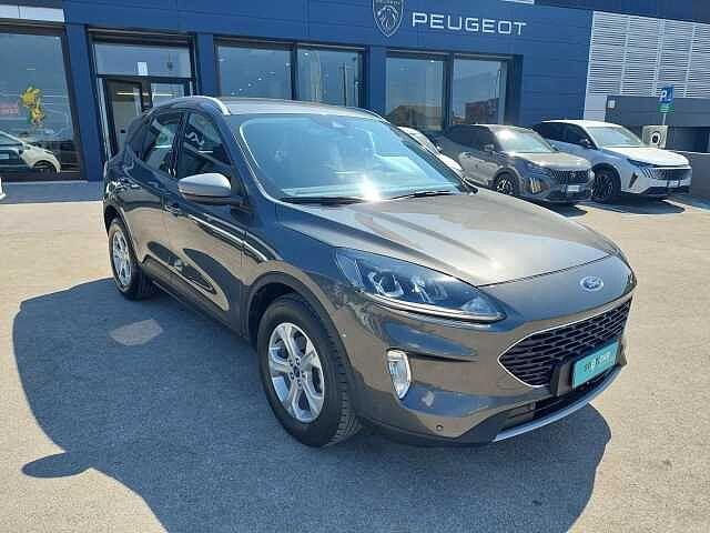Ford Kuga 1.5 EcoBlue 120 CV 2WD Titanium Business