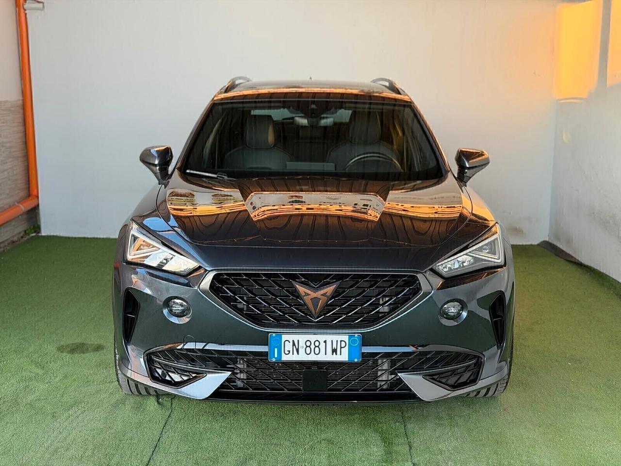 Cupra Formentor 2.0 TDI 4Drive DSG