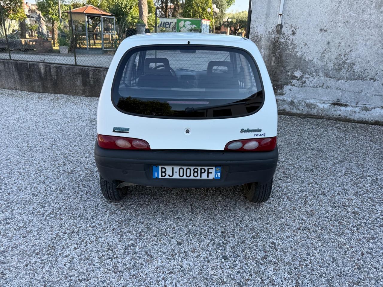 Fiat Seicento 900i cat Young