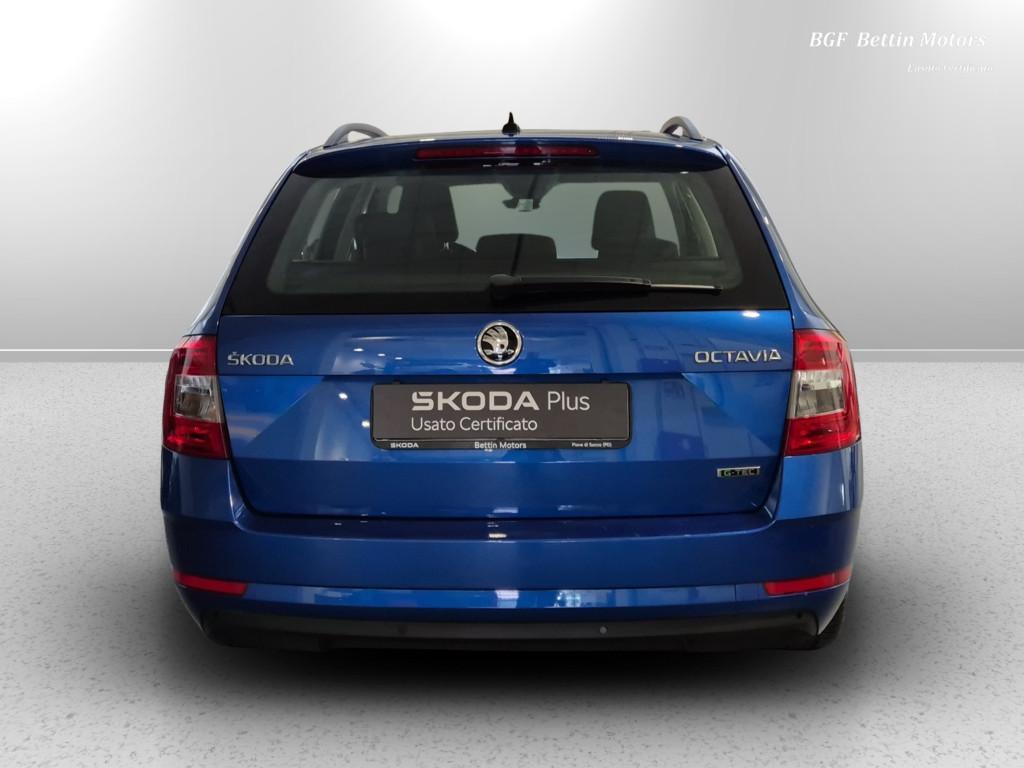 Skoda Octavia Wagon 1.5 g-tec Executive 130cv dsg