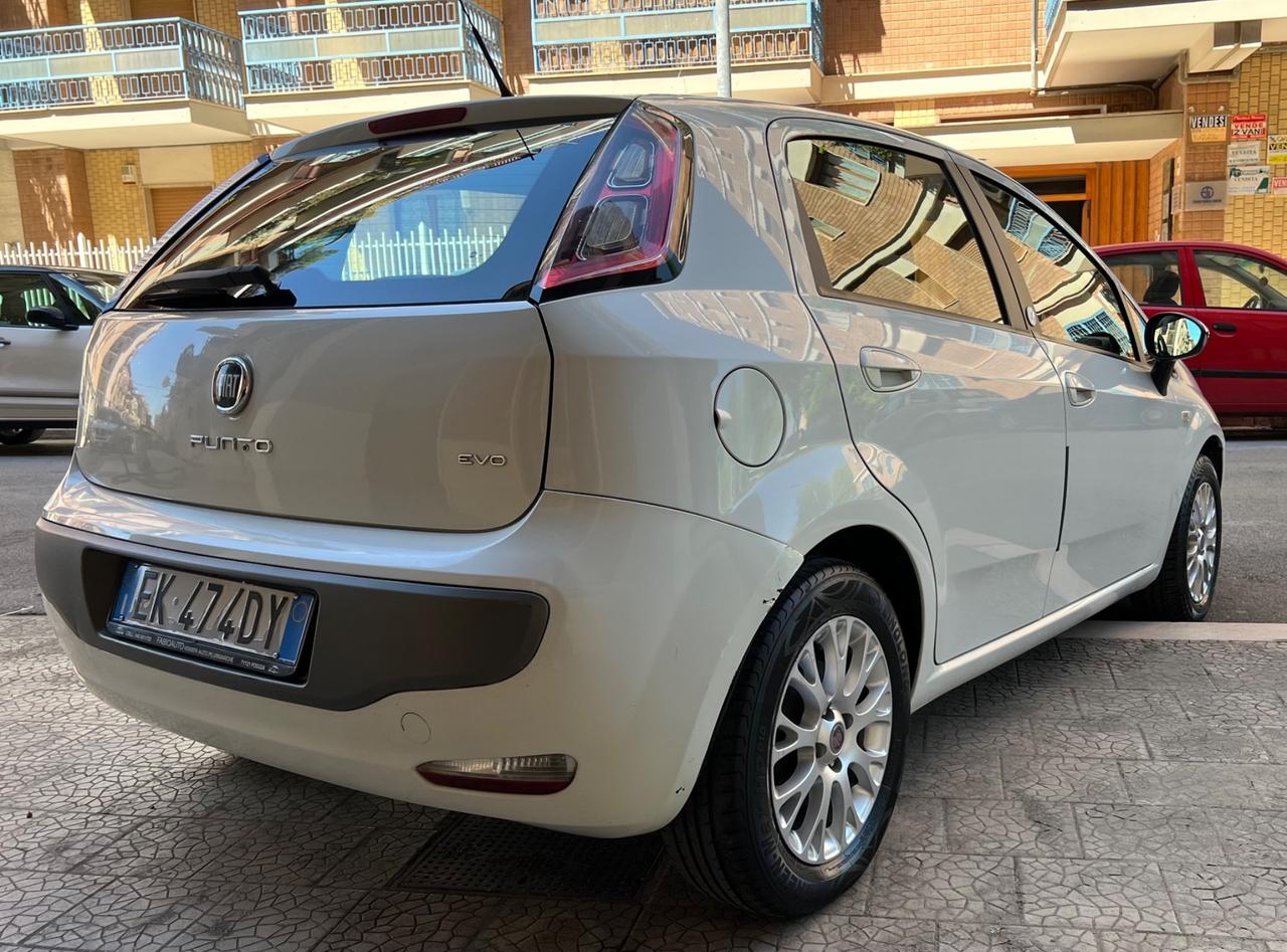Fiat Punto Evo 1.3 Mjt 75 CV DPF 5 porte S&S Dynamic