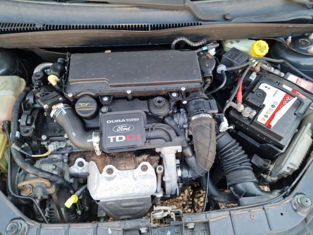 FORD Fiesta 1.4 TDCi 3p. Collection