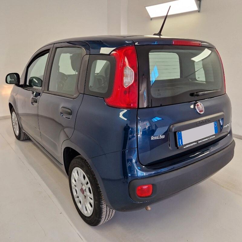 FIAT Panda 3ª serie Panda 1.0 FireFly S&S Hybrid