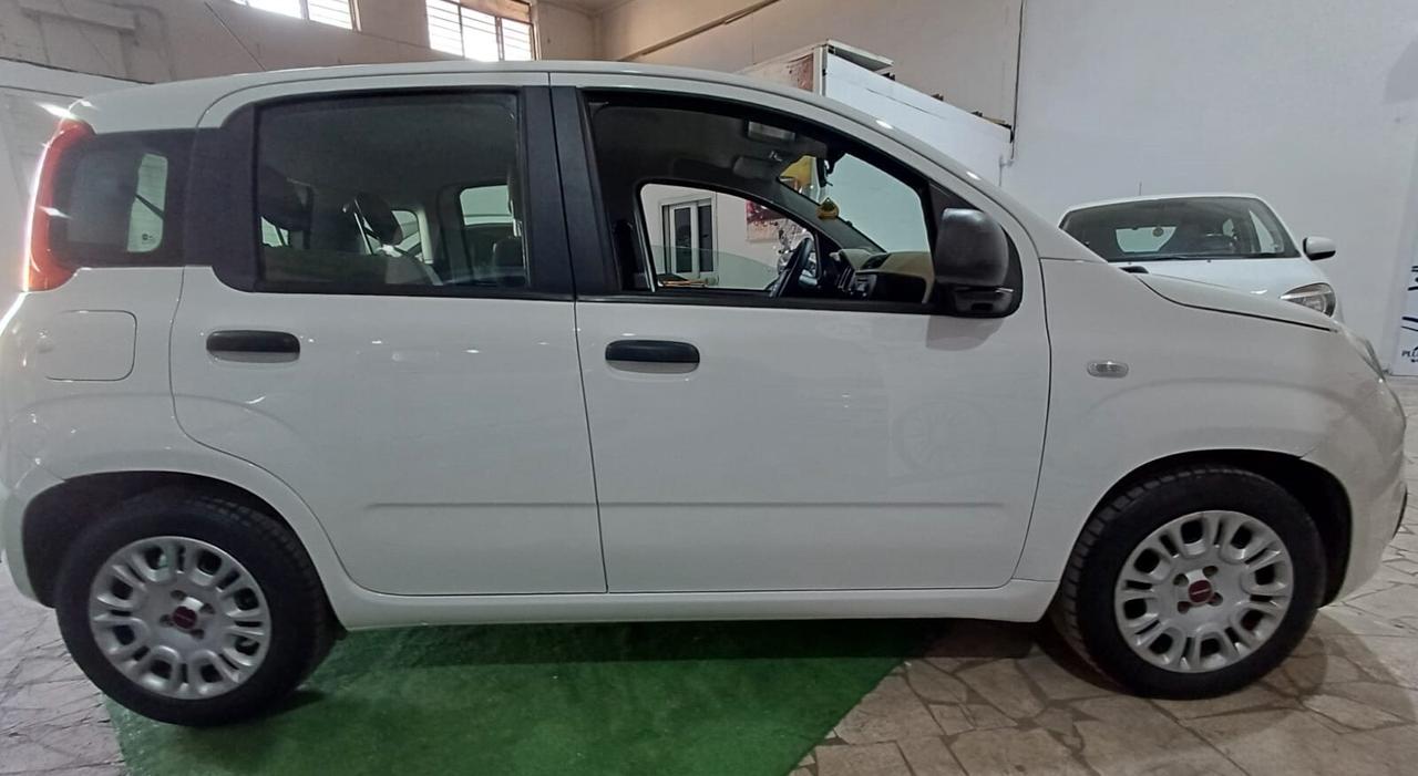 Fiat Panda GPL DI SERIE Perfetta - 2017