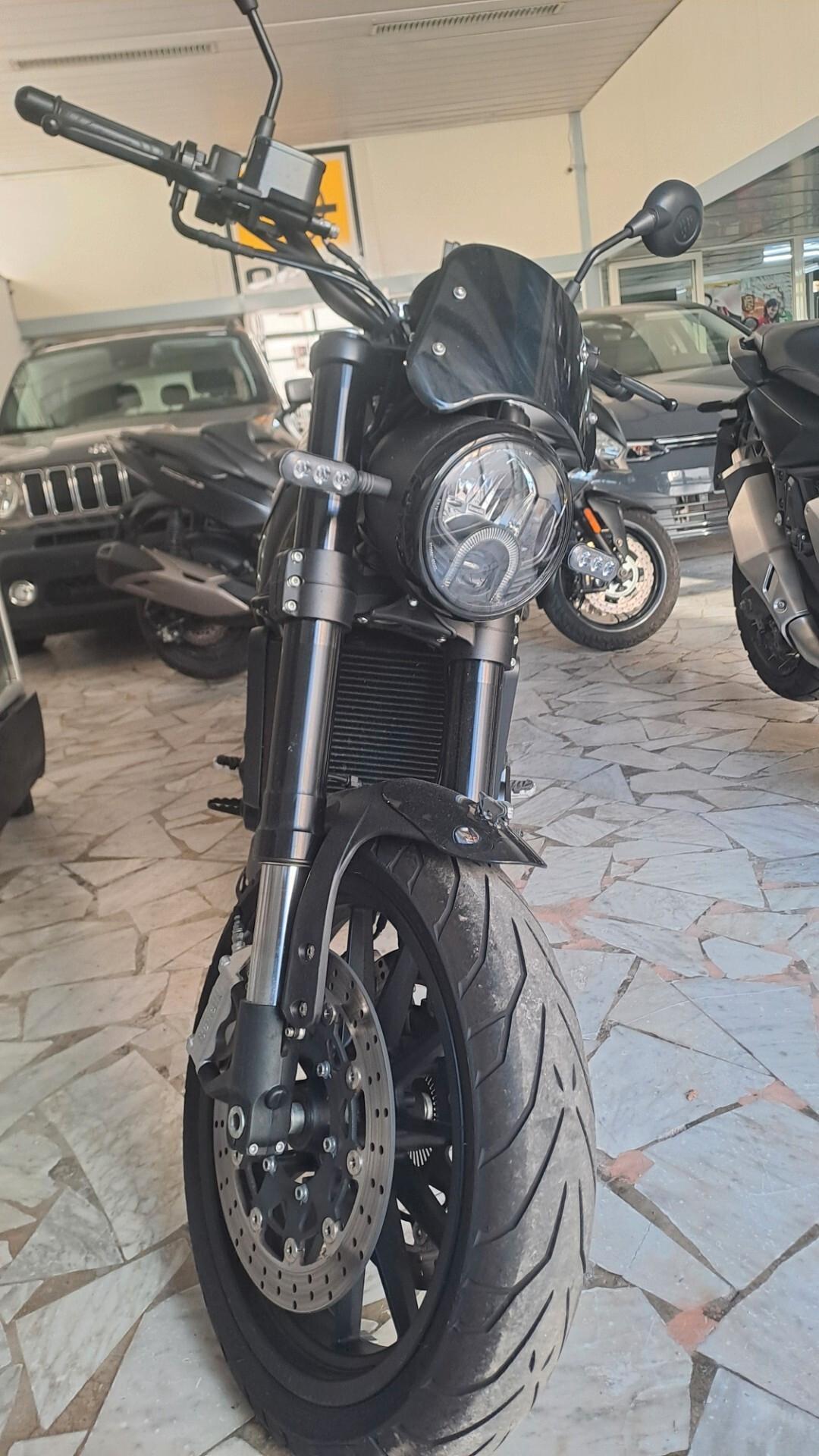 Benelli Leoncino 500 LEONCINO 500