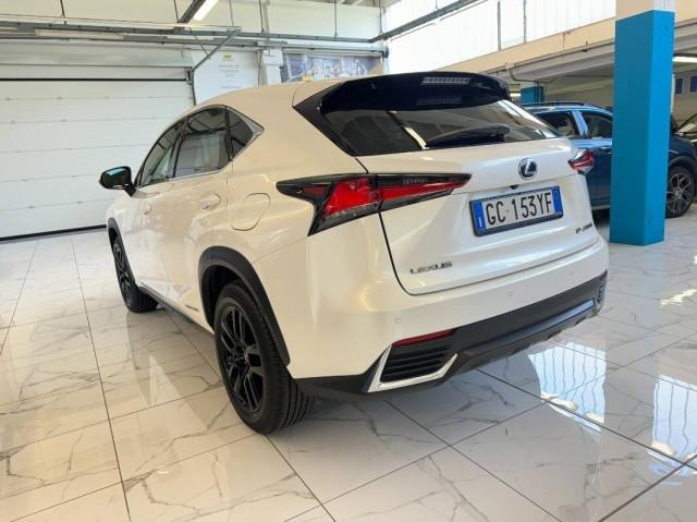 Lexus NX SOLO EXPORT ART. 41 NO ITALIA 300h 2.5 Premium 4wd cvt