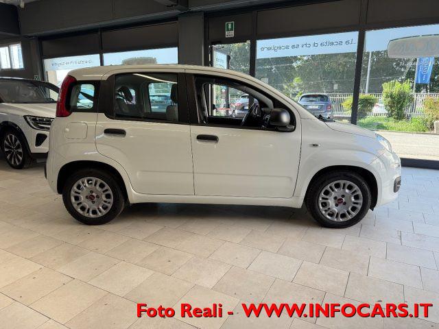 FIAT Panda Hybrid 1.0 FireFly 70 cv Neopatentati - PROMO