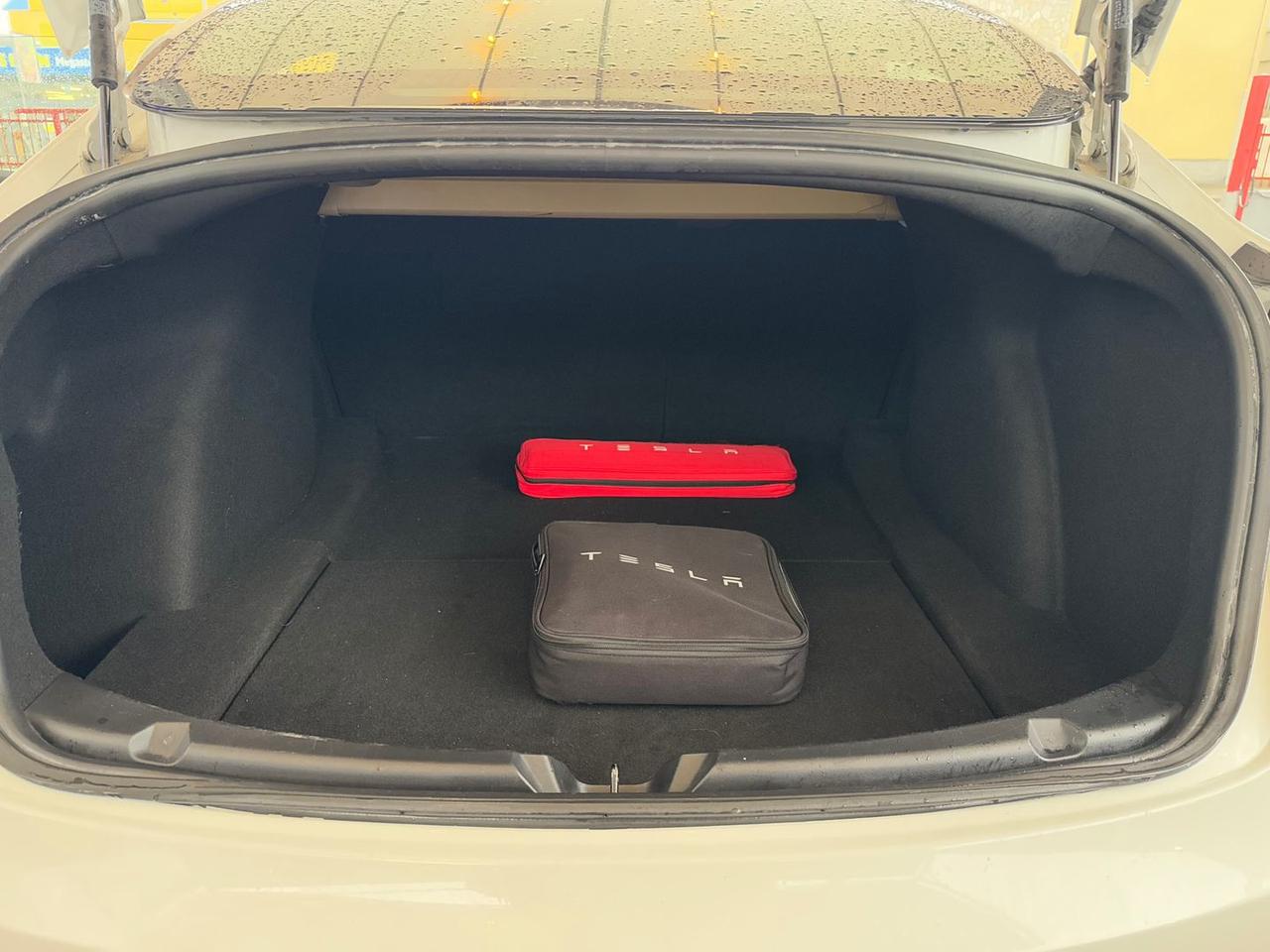 Tesla Model 3 Long Range Dual Motor AWD #8658