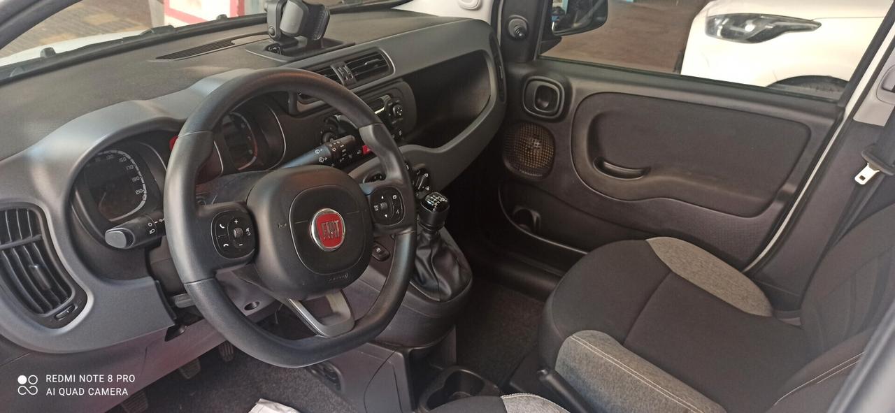 Fiat Panda 1.0 FireFly S&S Hybrid km 56.000
