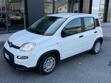 FIAT Panda NEW 1.0 70cv Hybrid PANDA