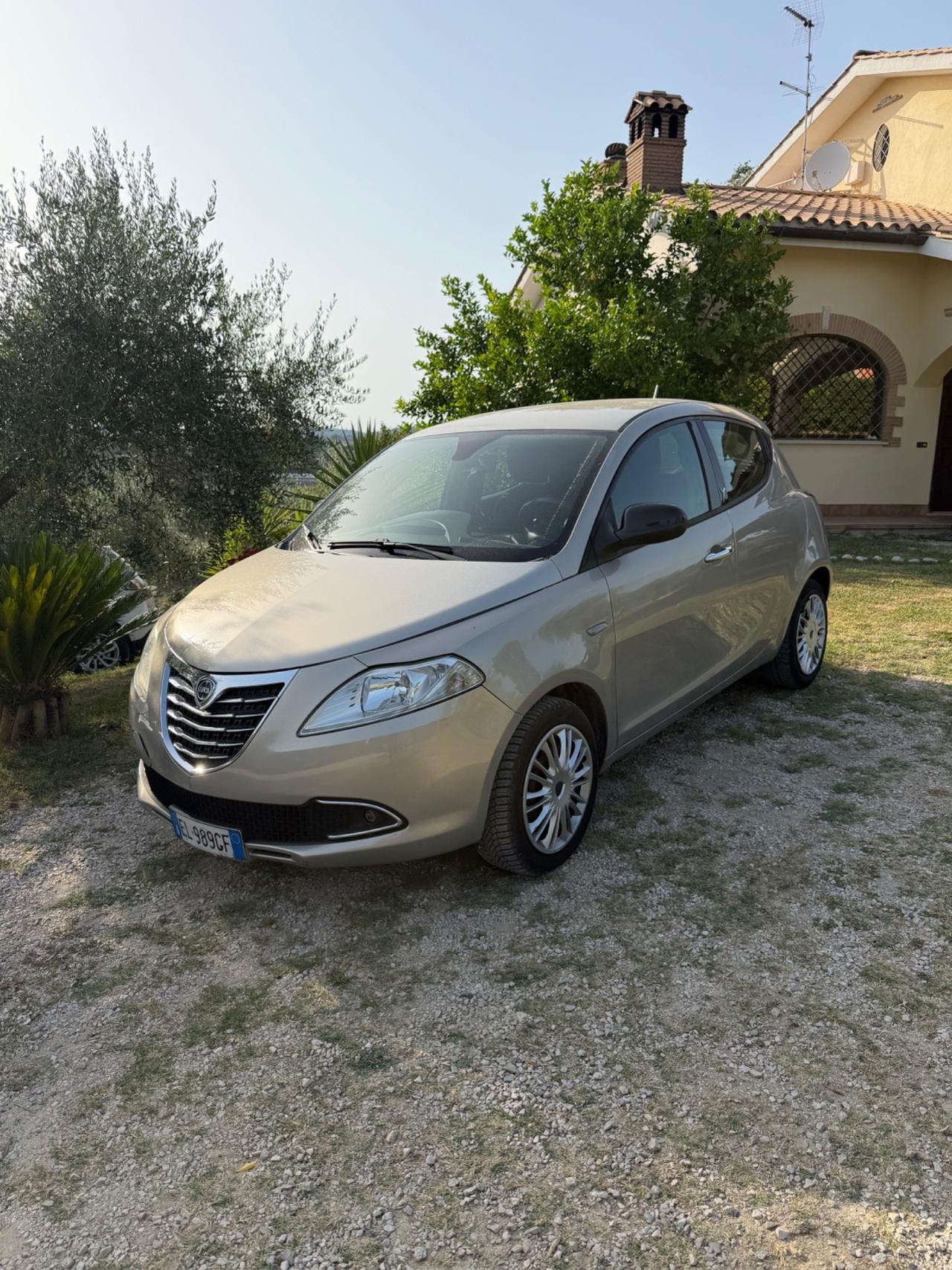 Lancia Ypsilon 1.3 MJT 16V 95 CV 5 porte S&S Platinum