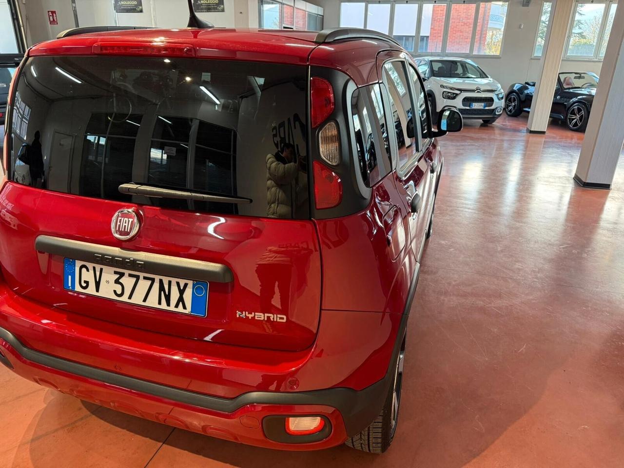 Fiat Panda 1.0 FireFly S&S Hybrid Pandina