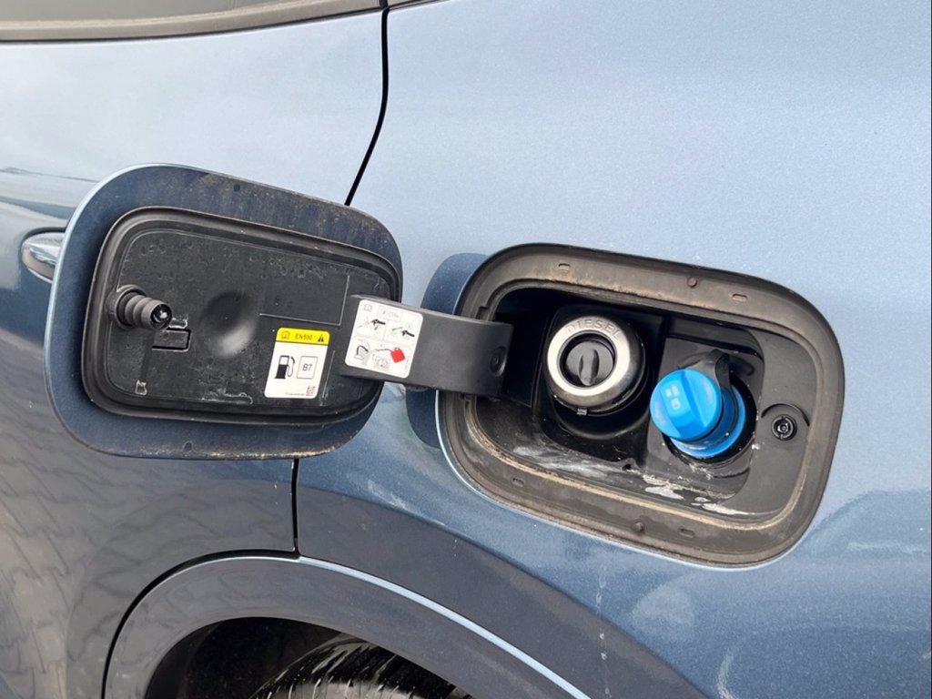 FORD Kuga 1.5 EcoBlue 120 CV aut. 2WD ST-Line X del 2022