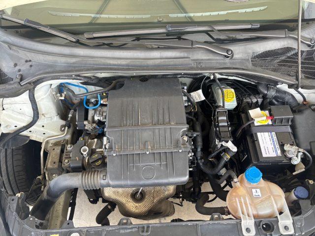 FIAT Punto 1.2 8V 5 porte EURO 6 OK NEOPATENTATI