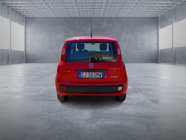 FIAT Panda 3ª serie 1.0 FireFly S&S Hybrid