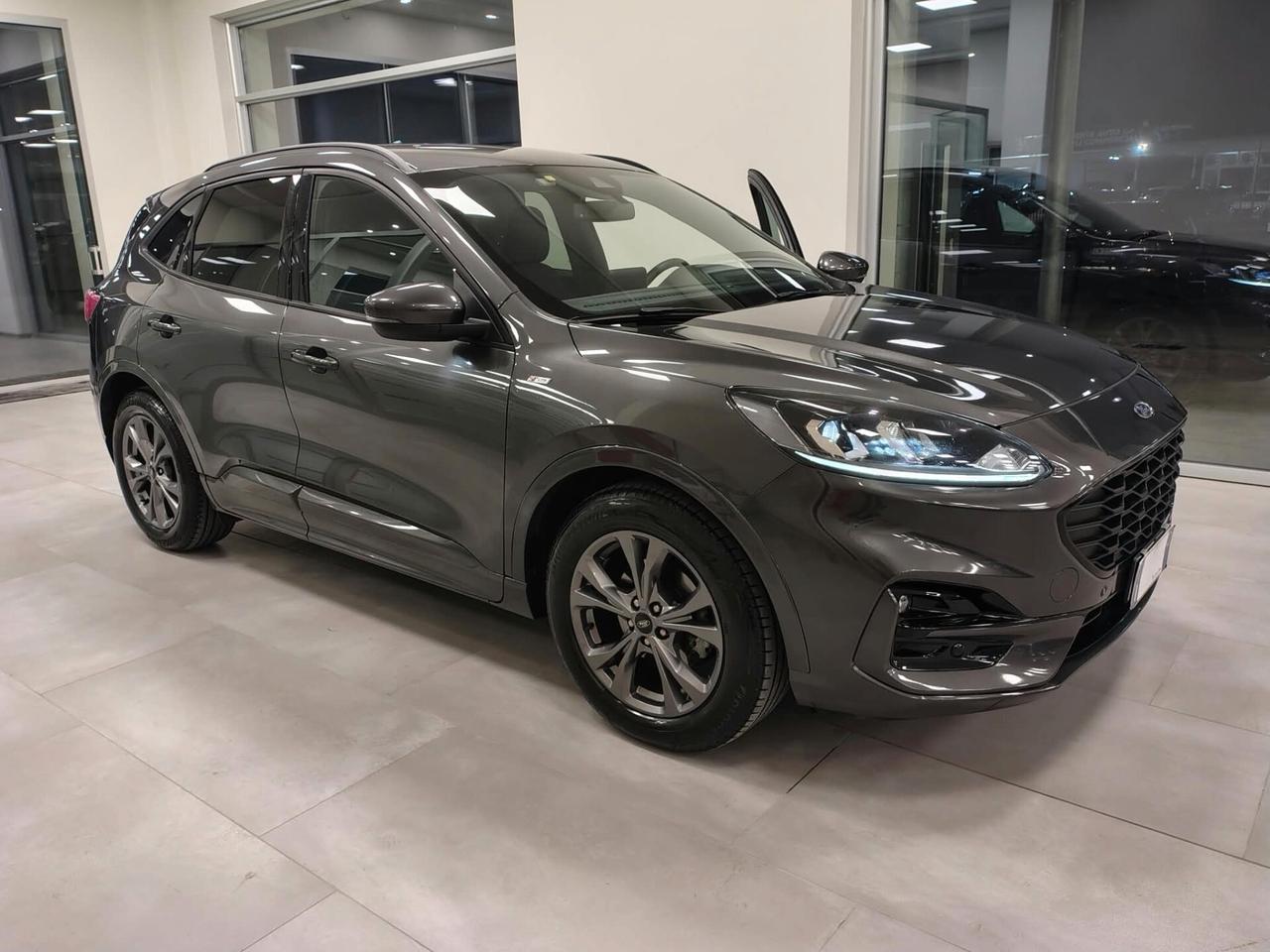 Ford Kuga 1.5 EcoBlue 120 CV 2WD ST-Line