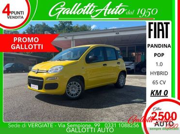 FIAT Pandina 1.0 FireFly 65cv S&S 6m Hybrid Pop-PROMO GALLOTTI
