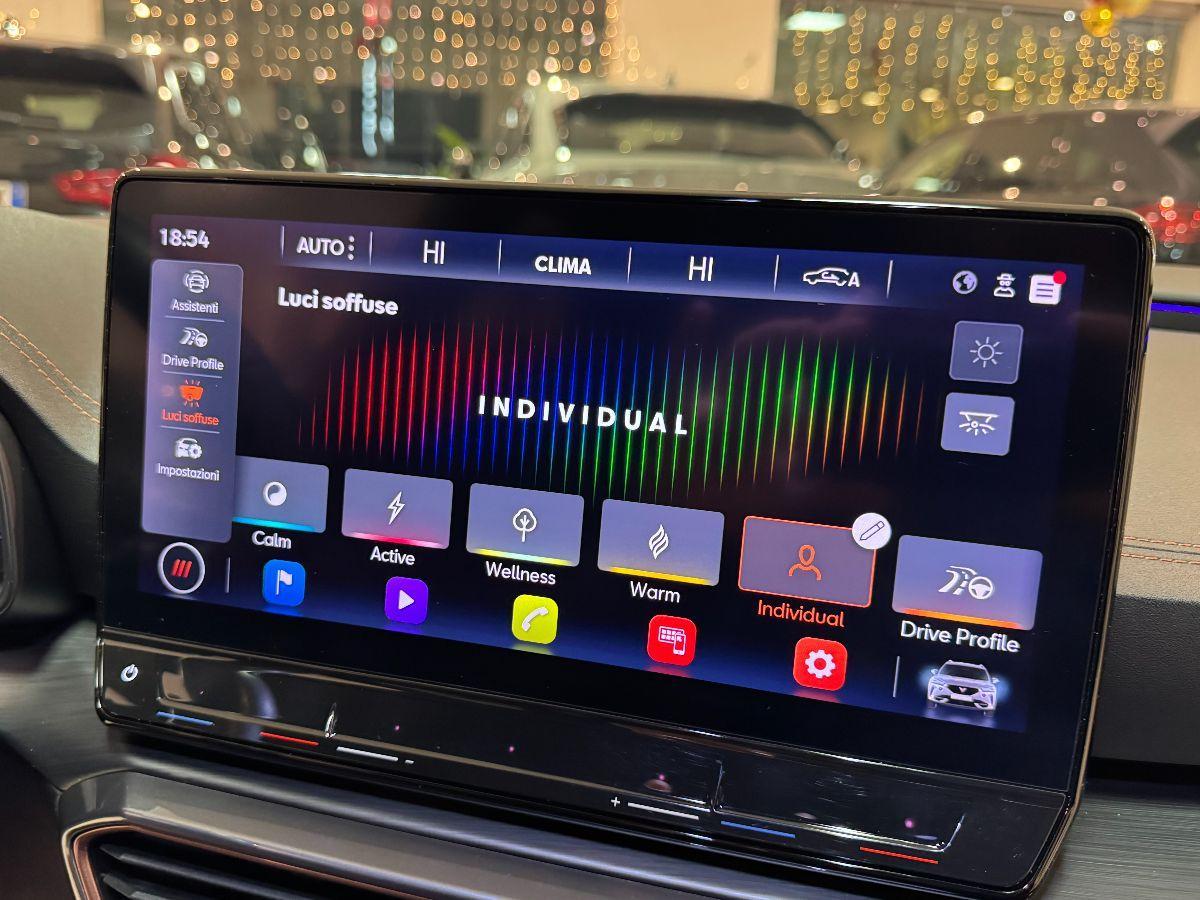 Cupra formentor 2.0 TDI 4Drive DSG Grigio Graphene