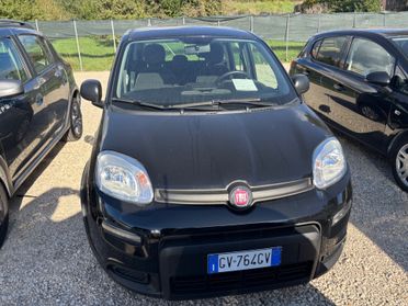 Fiat Panda No