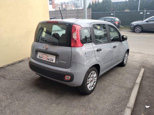 FIAT Panda 1.0 FireFly Hybrid Easy NEOPATENTATI-FINANZIABILE