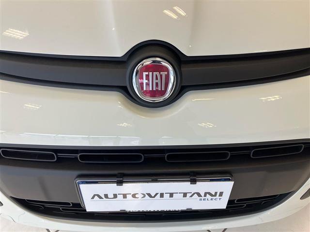 FIAT Panda Pandina 1.0 FireFly Hybrid 65cv Icon S&S 5p.ti
