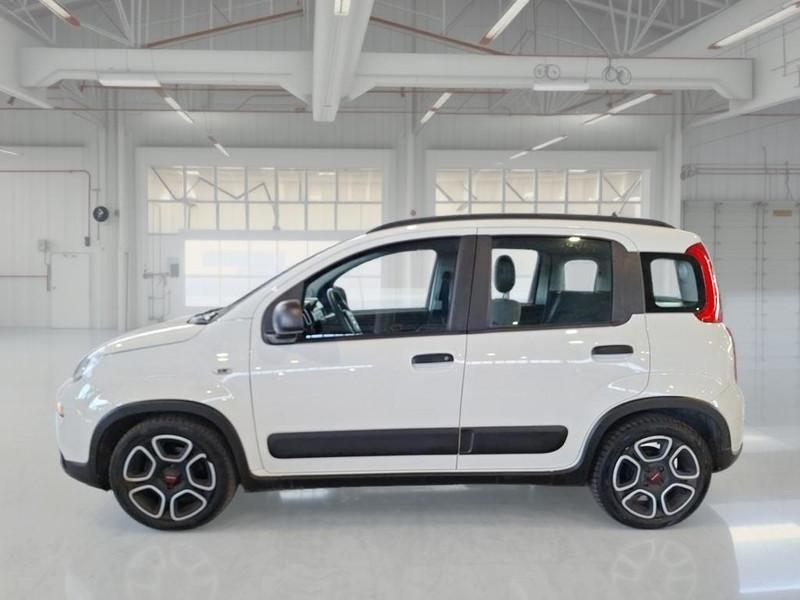 FIAT PANDA 1.0 FireFly 70cv S/S Hybrid City Life 5 PORTE