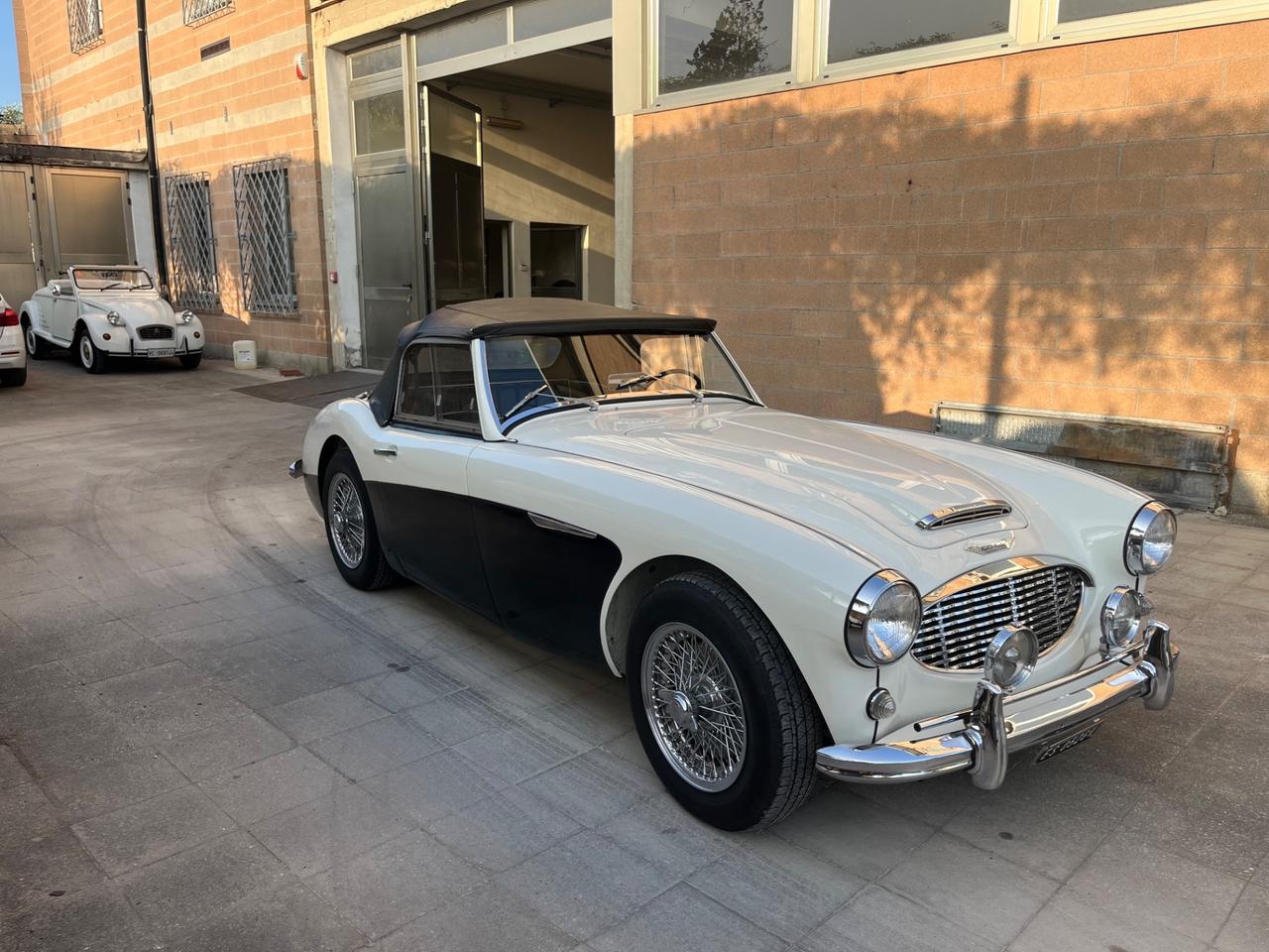Austin Healey 100/6 BN4 2700 ASI